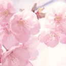 엄상기 복싱에어로빅 이미지