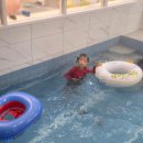 와와 키즈풀빌라 이미지