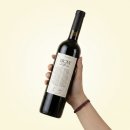 [술찍한 와인리뷰 #21] 트라피체 이스카이(Trapiche Iscay) 말벡&카베르네프랑 솔직 후기