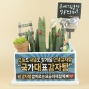 예똘 이미지
