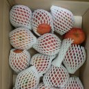 하이크린 이미지