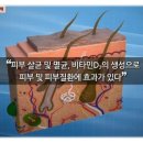 비타민D 햇볕 충전기 힐링라이트 이미지