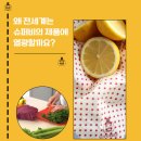 슈퍼비 비즈왁스랩 (밀랍랩), 밀랍백 내돈내산 사용후기 (ft. 친환경 주방용품점 ‘에코다이닝’)