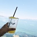 성은목장 | 거제 매미성 오션뷰 카페 심해 후기, 바다 산책까지 가능한 카페