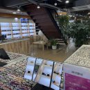 은평안경 이미지