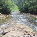 머털도사펜션민박 이미지