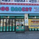 도그바스캣
