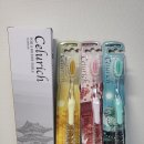 주식회사 에이치비헬스케어 | 어금니칫솔 추천 셀루리치 칫솔 후기