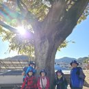 남파랑길18코스(거제 장목파출소~김영삼대통령기록전시관) 251206 이미지