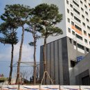 소원부동산중개사무소 이미지