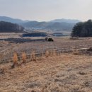 강산개발(주) 이미지