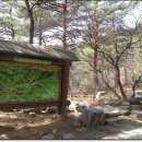 (주)금강송 이미지