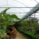 초가시골밥상 이미지