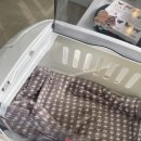 나은 캔넬 이미지