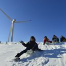 장선목장 이미지