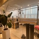 개인공감 | 서현동필라테스 필라테스스튜디오, 공감 개인레슨 체험하고 온 후기