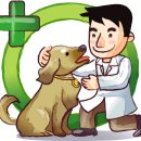 손진규동물병원 이미지