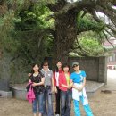 정자네 펜션 이미지