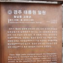 경주 황남동 고분군(사적 제512호) 이미지