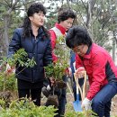 다대1동-20 이미지