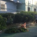 동네놀이터 이미지