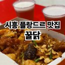 꿀닭 | 시흥플랑드르맛집 꿀닭 야장 후기