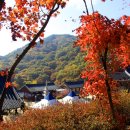 용문사 Daum카페