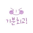 꽃길 걷는 고양이 이미지