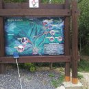 화원자연휴양림 이미지