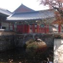 순천-59호 이미지