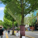 기동반-25 이미지