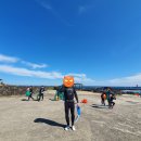 하도리안 | 제주도 동쪽여행 이색체험 하도리해녀체험 하도어촌체험마을