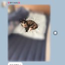 매탄방앗간 | 7월 일상 4탄 | 어묵볶음, 노각오이무침, 무생채, 무나물, 가지구이레시피, 망포시래기담다, 허그맘허그...