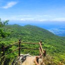 청도자연휴양림 이미지