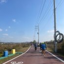 마장 매화둘레길 이미지