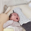 ■ 친손녀 '이도아' 탄생 38일째, 스윗트 홈 / 친할머니 품에서..ㅋㅎ ■ 이미지