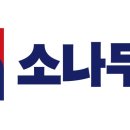 선관위 소나무 이미지