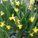 화원농장2 이미지