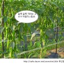 아브라함농장 이미지