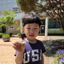 담담체험장 | 260509 충주자연생태체험관, 260517 좌구산 별천지유아숲체험원
