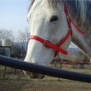 관우2목장 이미지