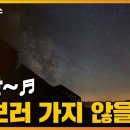 별똥별비 이미지