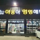 멍멍아 야옹해봐 | 원주 반곡동 야옹아 멍멍해봐 오픈 방문후기