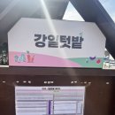 강일농장 네이버블로그