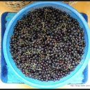 등불농장 이미지