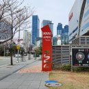 경향서점 | 부산 뮤지컬 휴남동 서점 내돈내산 관람후기
