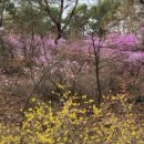 강남박내과의원