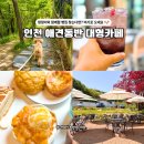 안녕댕댕쓰 | 인천 애견동반 핫플, 데이트 코스로 맛있는 빵집 브런치 대형카페 다녀옴