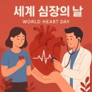 2024년 5월 생명의 골든타임, 심폐소생술 교육 | 심폐소생술 깨.알.누.사. 🫀세계 심장의 날 교육 후기