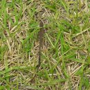 제주 호박 민박 이미지